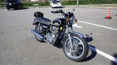 IMGP7236.JPG
